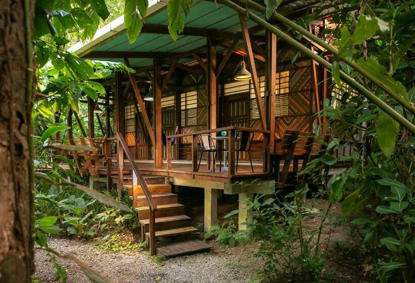 Номер Стандарт, La Kukula Lodge