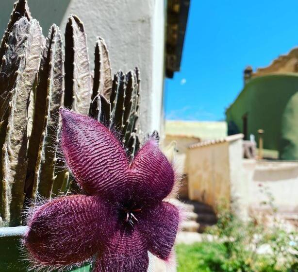 스탠다드 룸 공동 욕실, El Convento De Tilcara