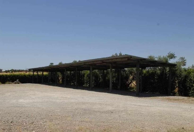 Апартаменты 1 Спальня с Террасой, Agriturismo Podere Santa Virginia