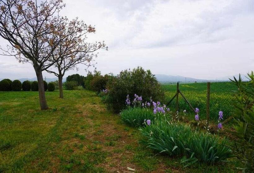 Дом 1 Спальня, Agriturismo Podere Santa Virginia