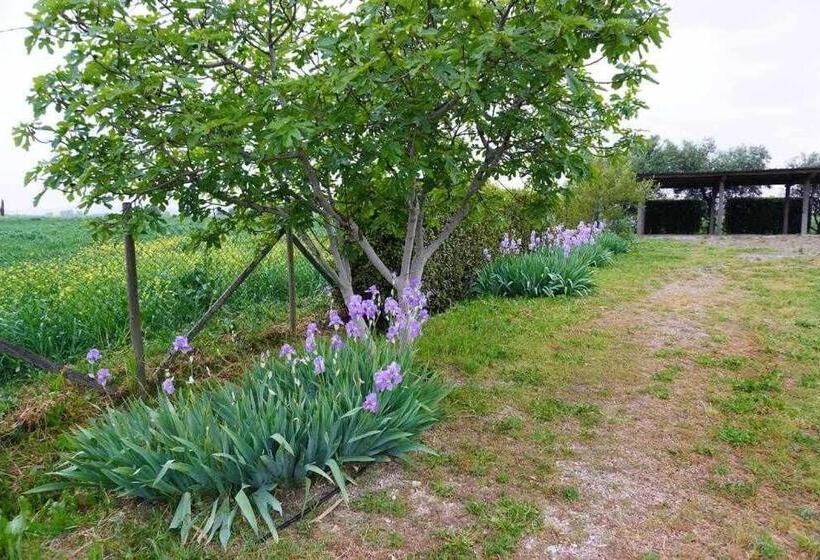 Номер Стандарт Вид на Сад, Agriturismo Podere Santa Virginia