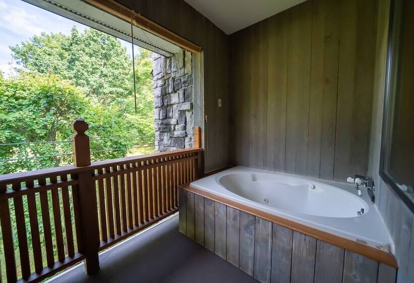Полулюкс, Sierra Resort Hakuba