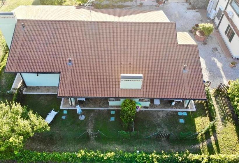 Апартаменты 1 Спальня, Agriturismo Lizzarola