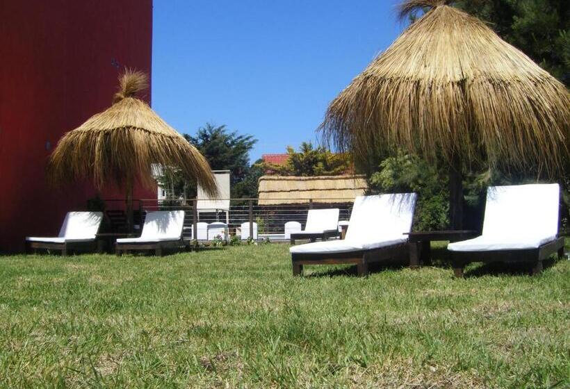 스탠다드 룸, San Remo Amapola Apart