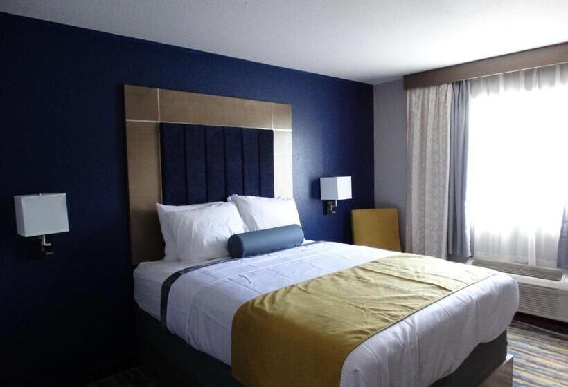 Номер Стандарт, Best Western Dewitt