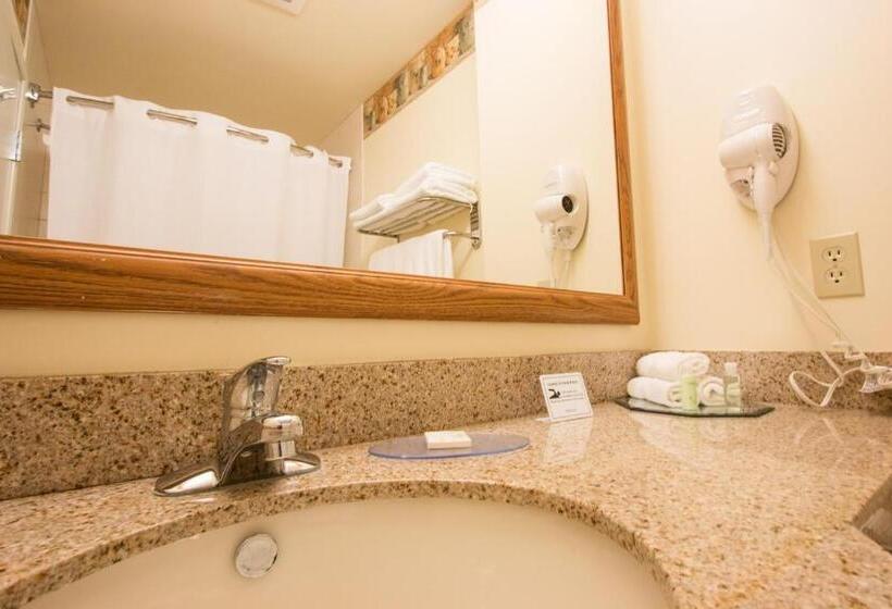 Четырехместный Номер Deluxe, Blue Gate Garden Inn
