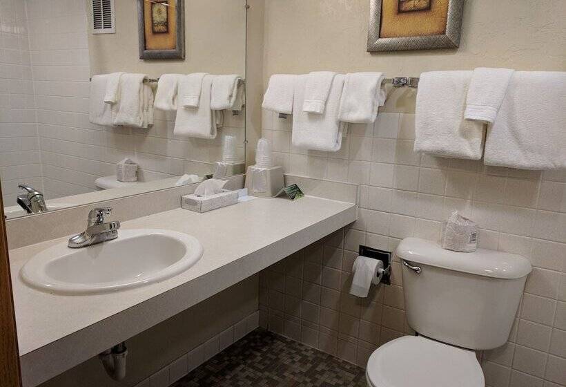 Номер Superior, Broadway Inn Conference Center