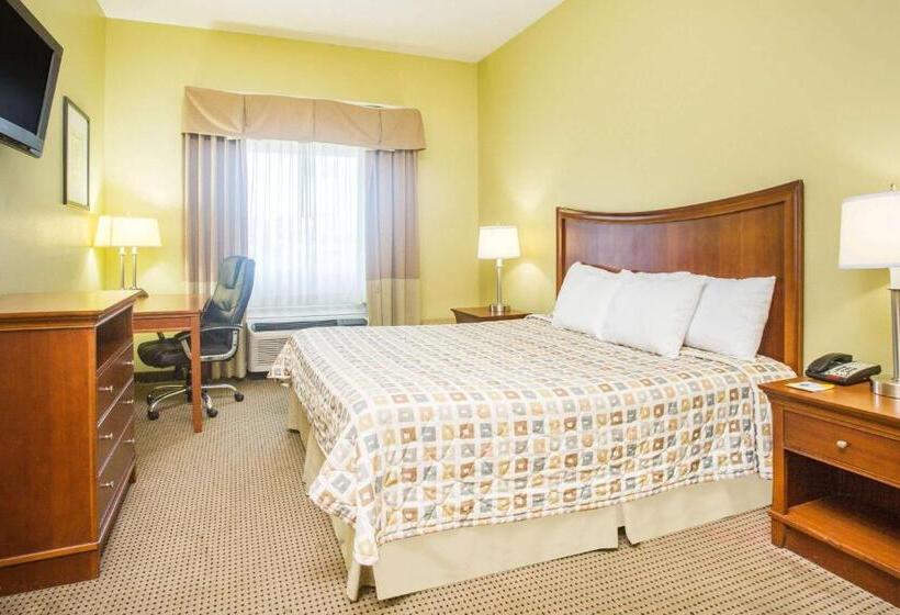 스탠다드 룸 킹사이즈 침대, Days Inn & Suites By Wyndham Swainsboro
