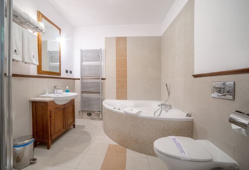 Номер Премиум, Aparthotel Hornigold W Zielonej Kamienicy