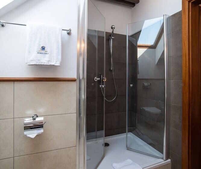 Номер Deluxe, Aparthotel Hornigold W Zielonej Kamienicy
