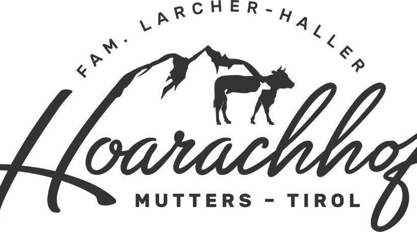 Номер Стандарт, Hoarachhof