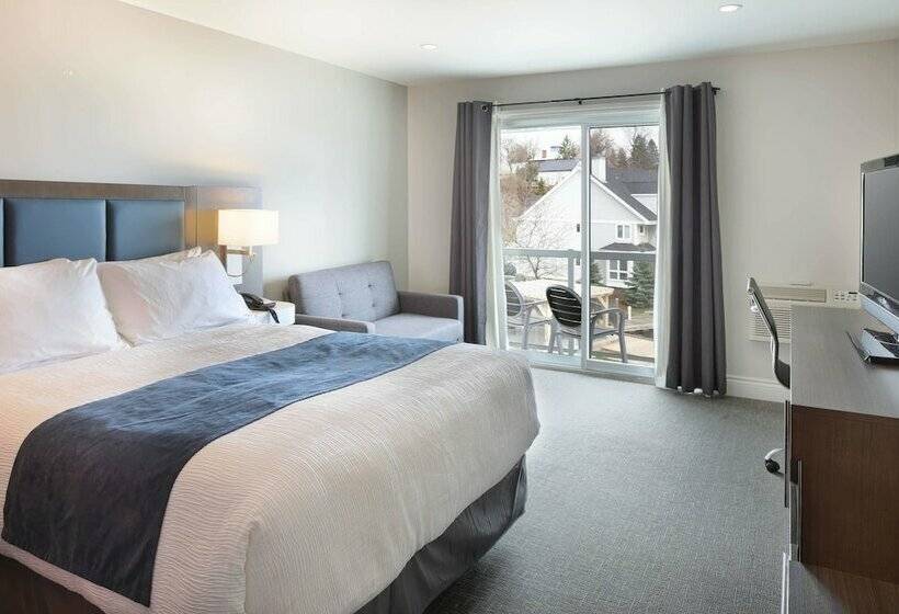 带景观的带双人床的标准间, Picton Harbour Inn