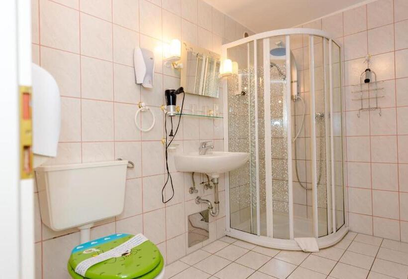 Номер Стандарт с Террасой, 1a Hotel Steiner
