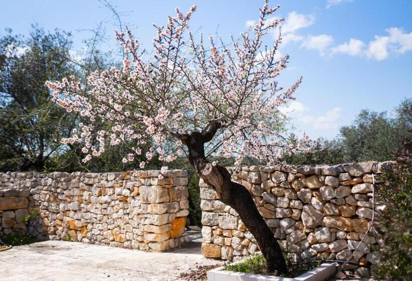 Апартаменты Superior 1 Спальня, Masseria Montepaolo Dimora Di Charme