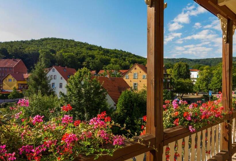 Апартаменты 1 Спальня, Pension Kurhausblick