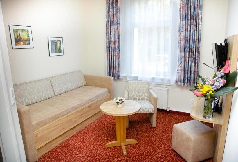 Полулюкс с Балконом, Waldhotel Friedrichroda