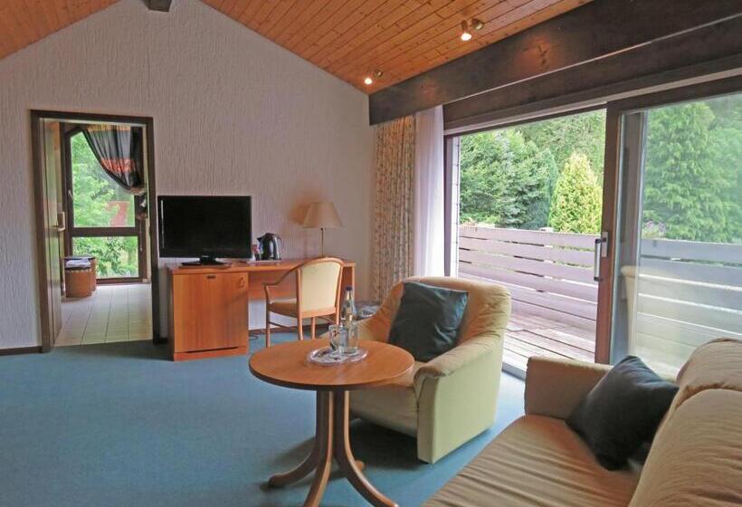 标准工作室带阳台, Diamanthotel Idar Oberstein