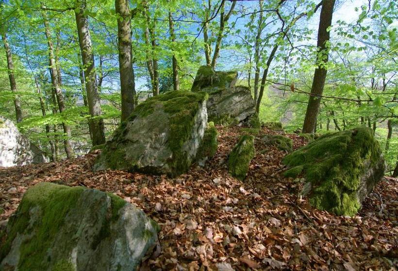 舒适型房间, Diamanthotel Idar Oberstein