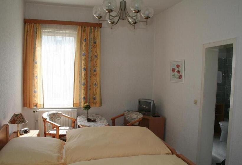 Номер Стандарт, Fernblick