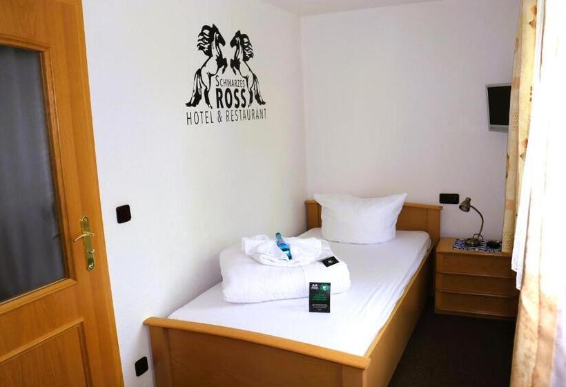 Номер Стандарт Индивидуальный, Schwarzes Ross Hotel & Restaurant Oberwiesenthal