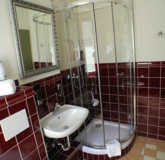 Номер Basic, Stadtparkhotel Alexandra