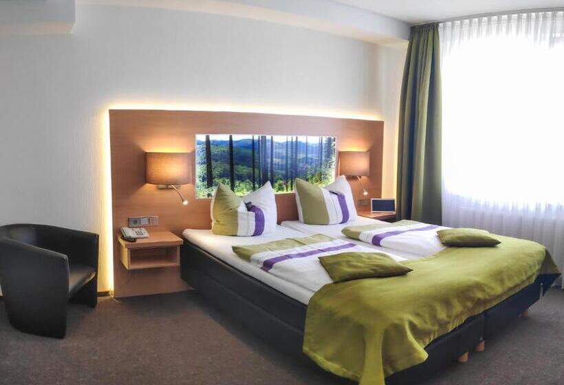 Plus Standaardkamer, Vakantiehotel Der Brabander