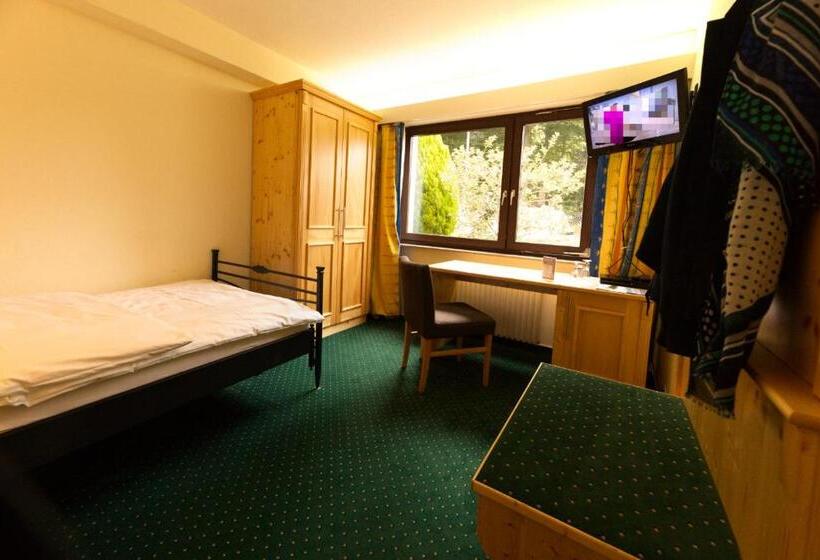 Номер Стандарт Индивидуальный, Parkhotel Hammerberg