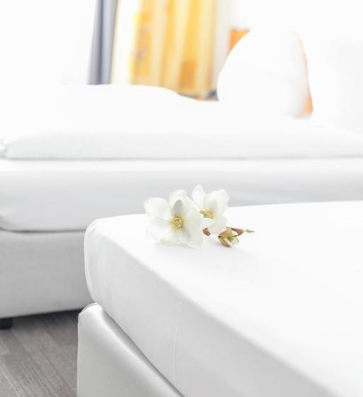 Quarto Estandar, Ambiente