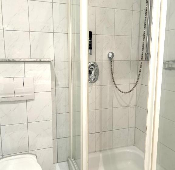 Номер Стандарт Индивидуальный, City Hotel Valois