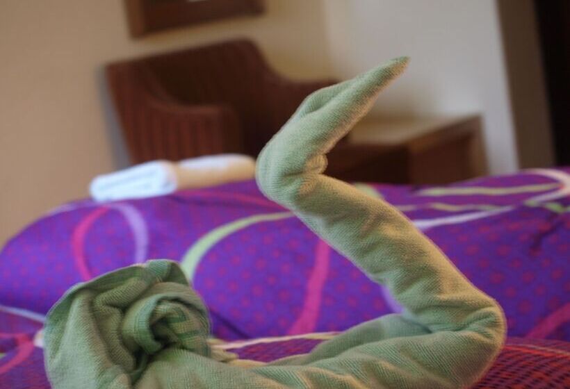 标准单人间, Familie Hotel Kameleon