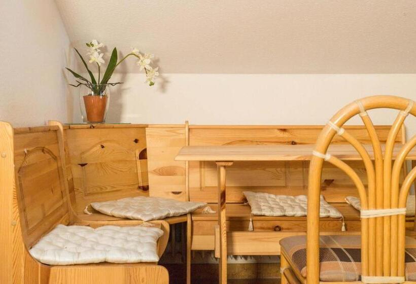 Апартаменты 1 Спальня с Видом, Garni Jägerhof