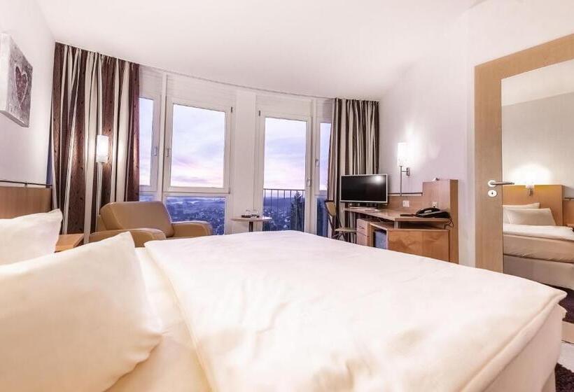 스탠다드 싱글 룸, Raitelberg Resort