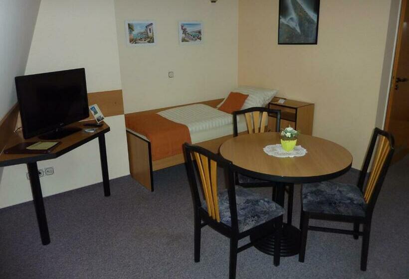 Quarto Estandar Individual, Pension An Der Weisseritz