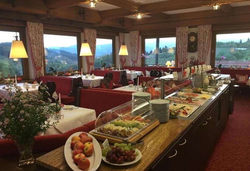 Номер Deluxe Одноместный, Höhenhotel & Restaurant Kalikutt