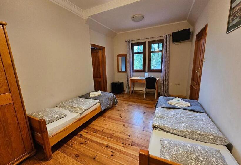 Студия Стандарт, Villa Alexandra