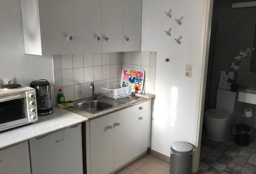 آپارتمان 1 خوابه با چشم‌انداز باغ, Big Blue Apartments