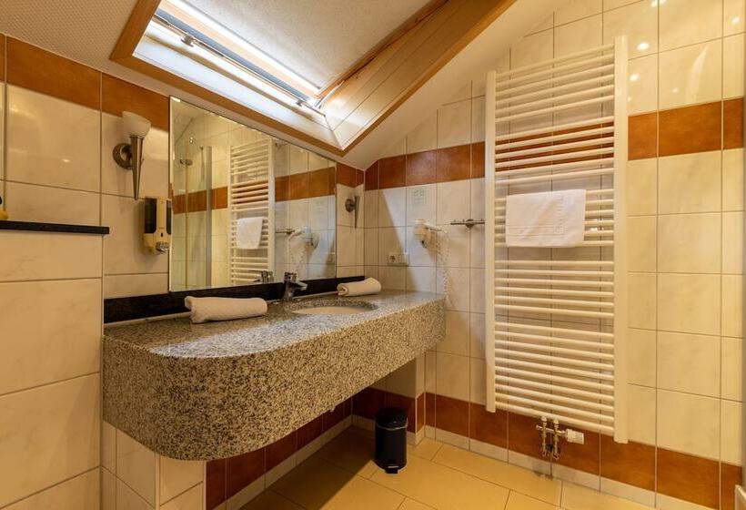 Habitación Estándar, Business Pension Gasper