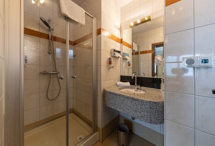Habitación Estándar Individual, Business Pension Gasper