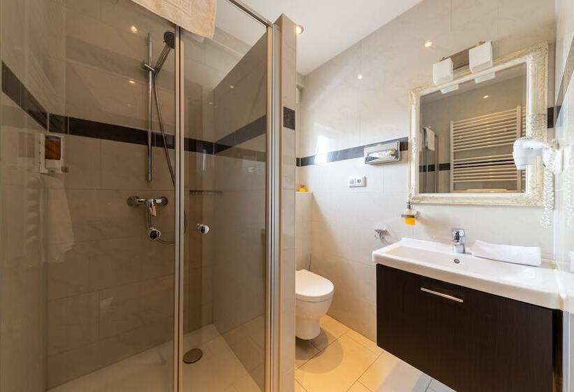 Habitación Estándar Individual, Business Pension Gasper