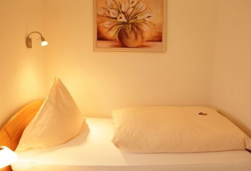 Habitación Estándar Individual, Business Pension Gasper