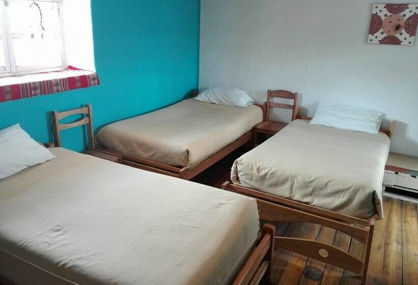 Кровать в Общей Комнате, New Day House In Cusco   Hostel