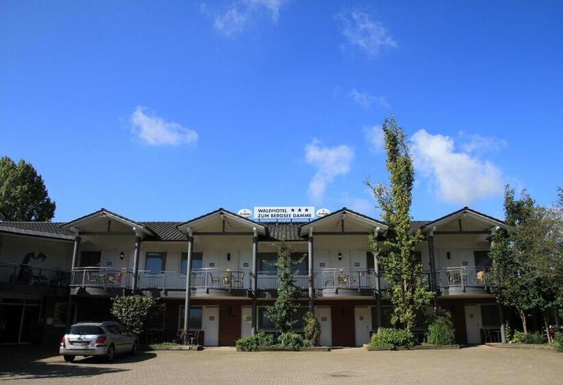 Номер Стандарт, Waldhotel Zum Bergsee Damme