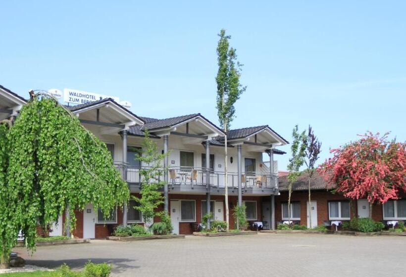 Номер Economy, Waldhotel Zum Bergsee Damme