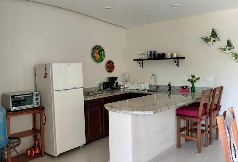 إستوديو قياسى مزودة بتراس, Cabañas Puerto Morelos
