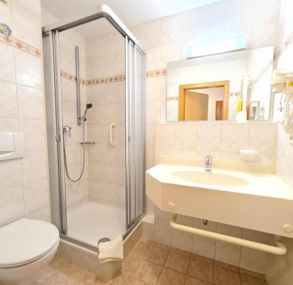 Одноместный Номер Вид на Бассейн, Thermenhotel Tannenhof   Ihr Wohlfühl