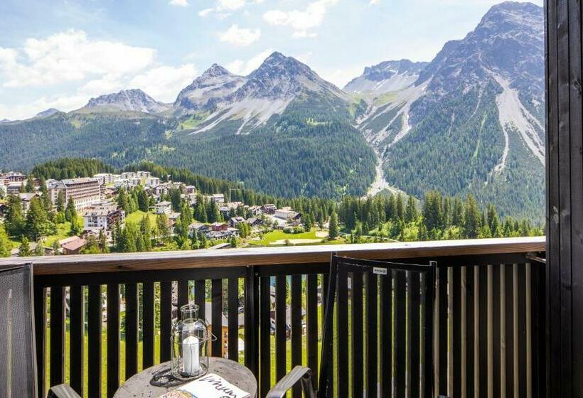 Номер Стандарт, Cristallo Arosa