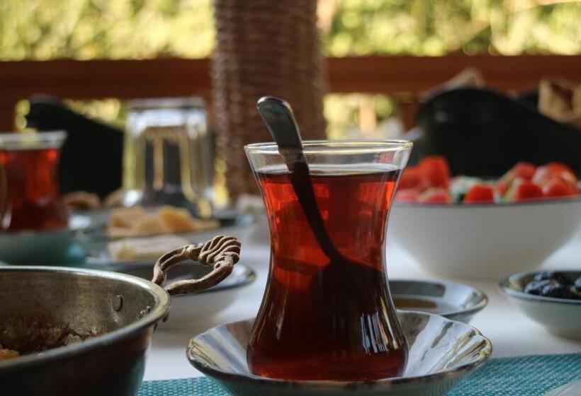 Номер Стандарт Индивидуальный, Orange Garden Hotel Akyaka