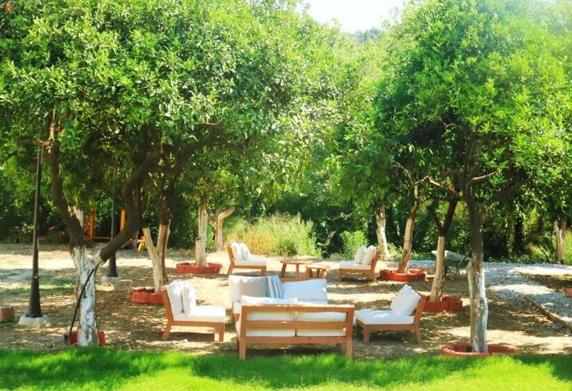 Номер Стандарт Трехместный, Orange Garden Hotel Akyaka