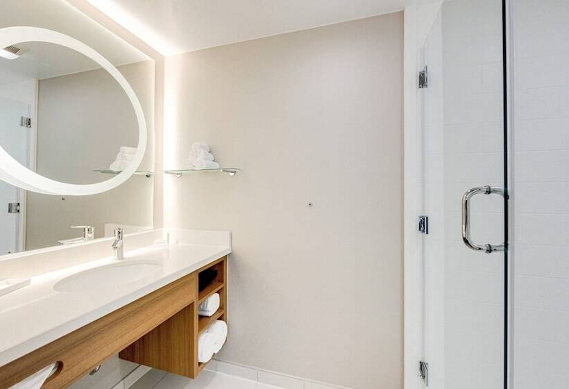 Люкс, Springhill Suites By Marriott Houston The Woodlands