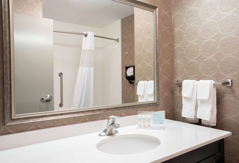스탠다드 룸 킹사이즈 침대, Hampton Inn Philadelphia/voorhees